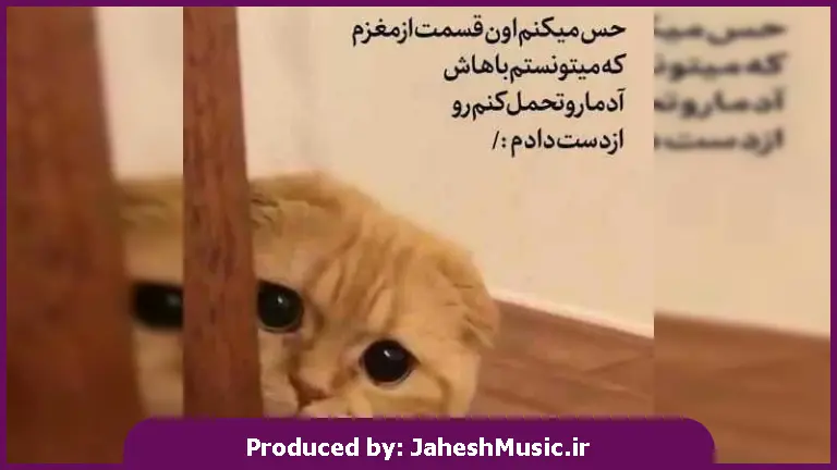 دانلود آهنگ حالا ببین این عاشقی ول میکنه 